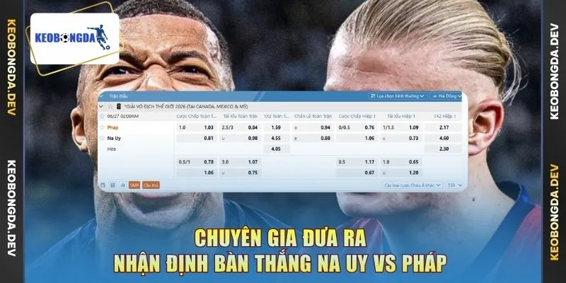Chuyên gia đưa ra nhận định bàn thắng Na Uy vs Pháp